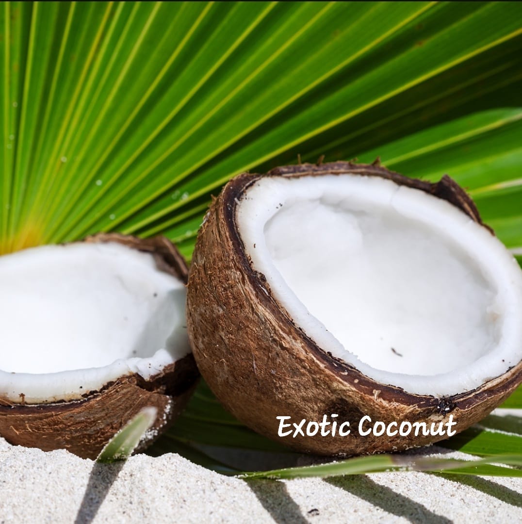 EXOTIC COCONUT CUTICLE OIL