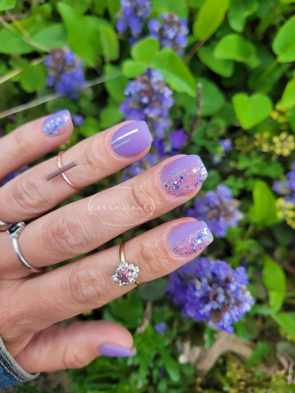 OCEAN SUNSET COLLECTION