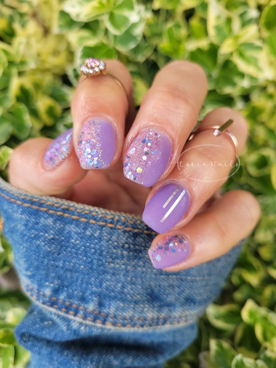 OCEAN SUNSET COLLECTION