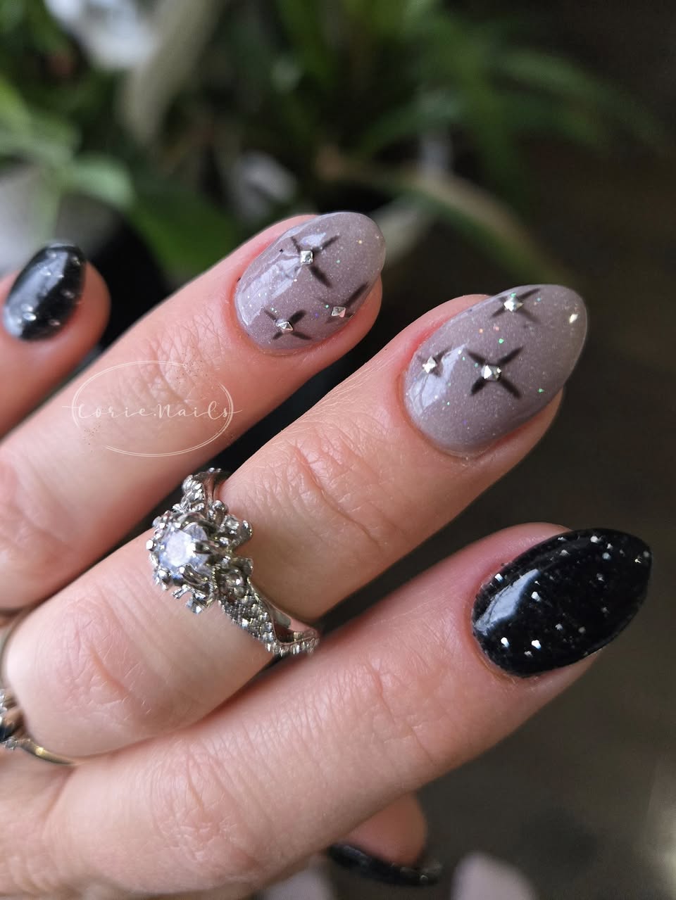 ENDLESS UNIVERSE COLLECTION
