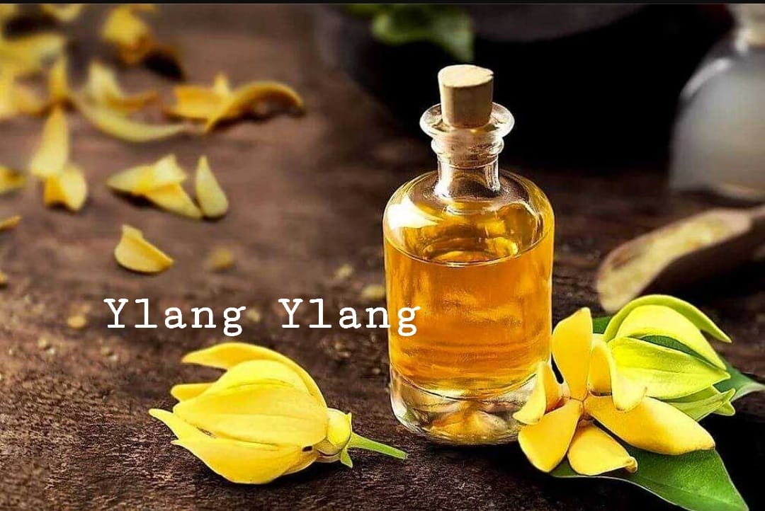 YLANG YLANG CUTICLE OIL