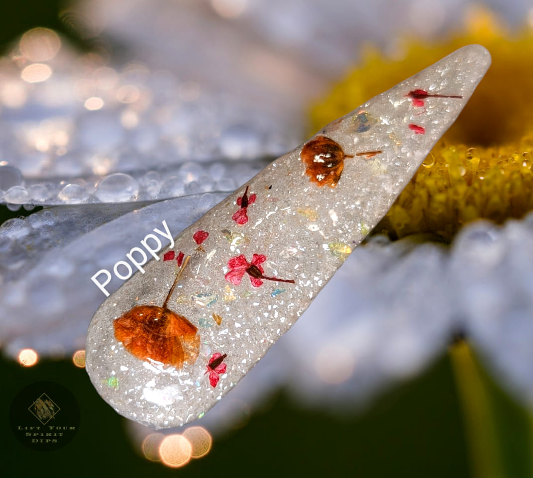 RAINDROP SHIMMER COLLECTION