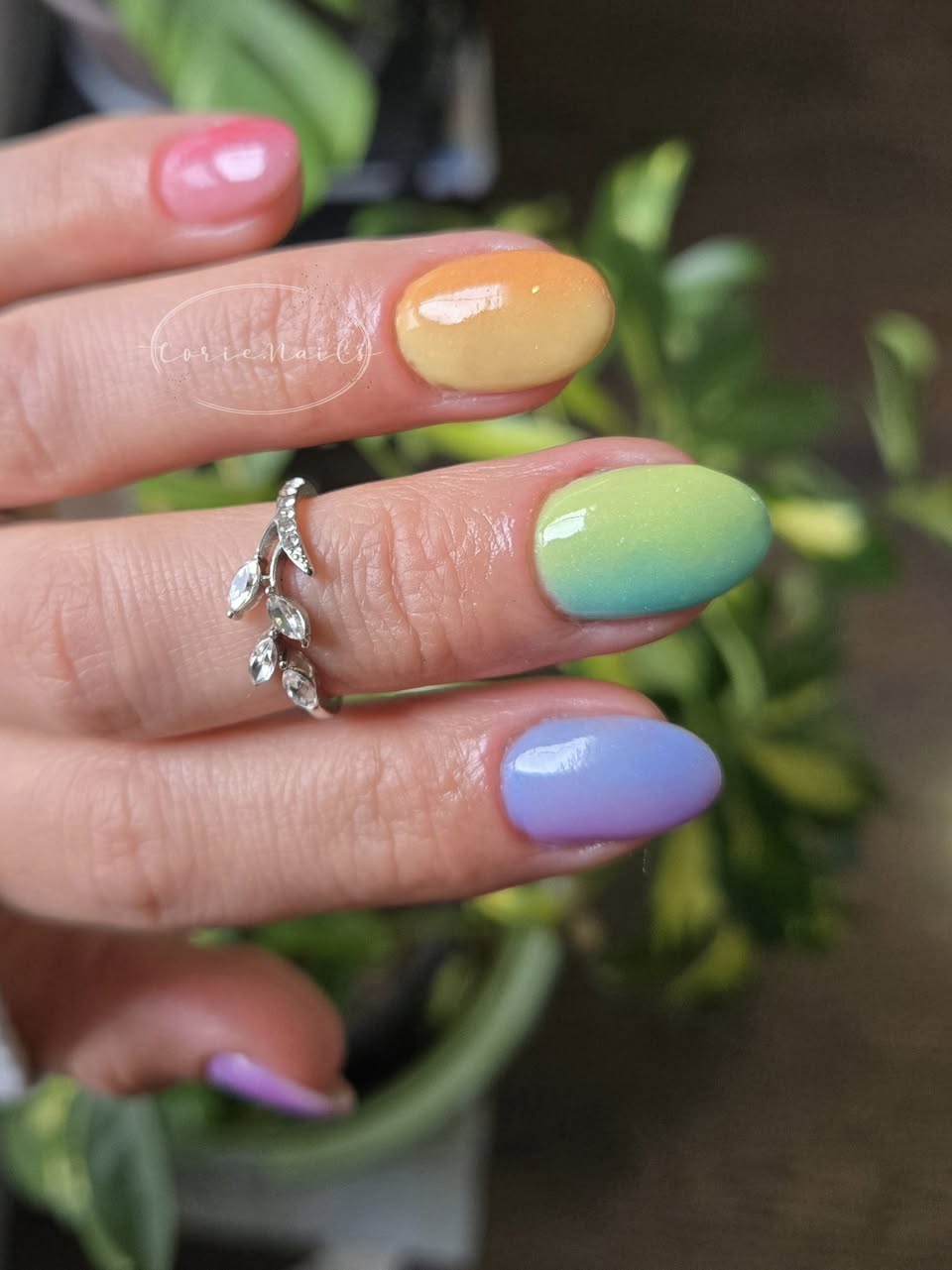 CANDIED SKY COLLECTION