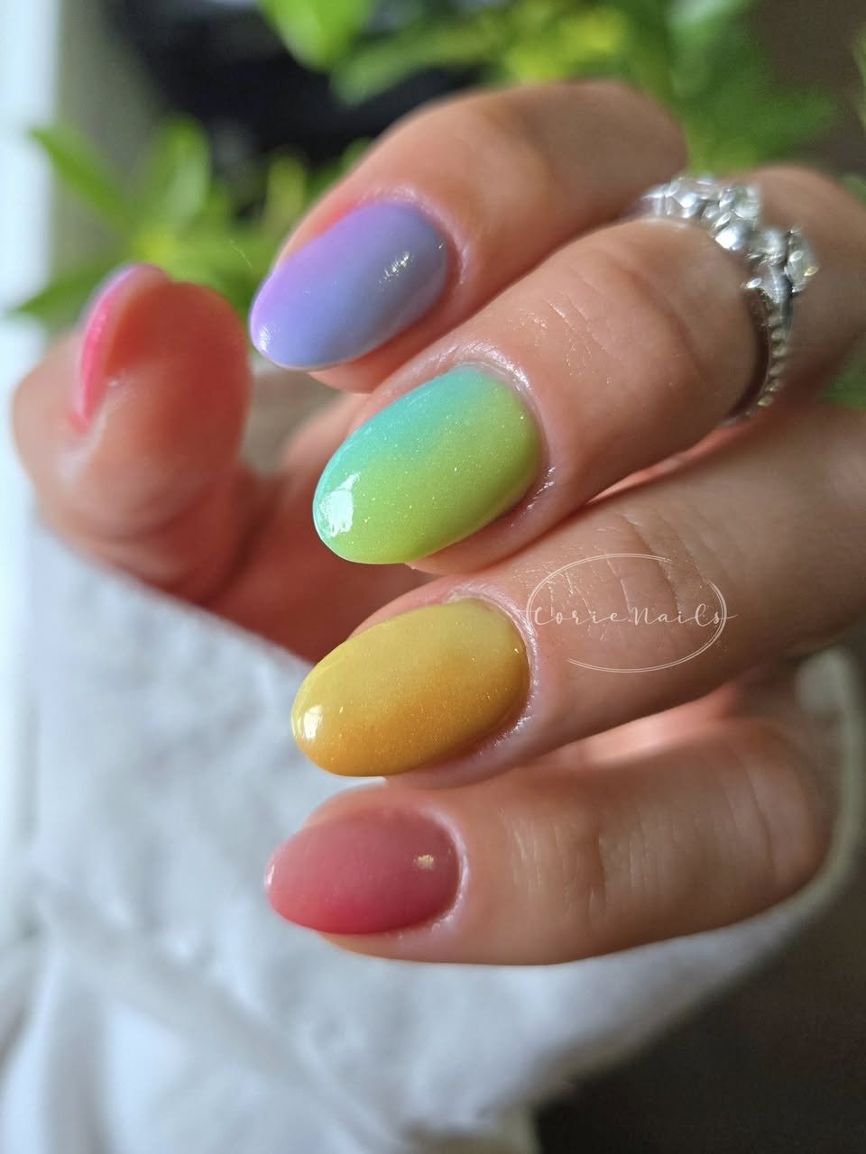 CANDIED SKY COLLECTION