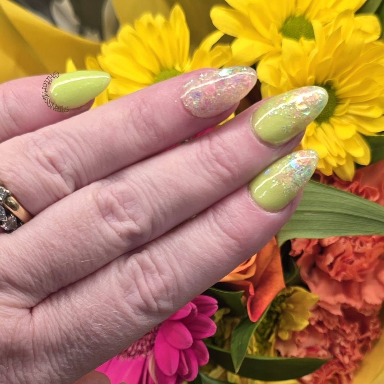 CANDIED SKY COLLECTION