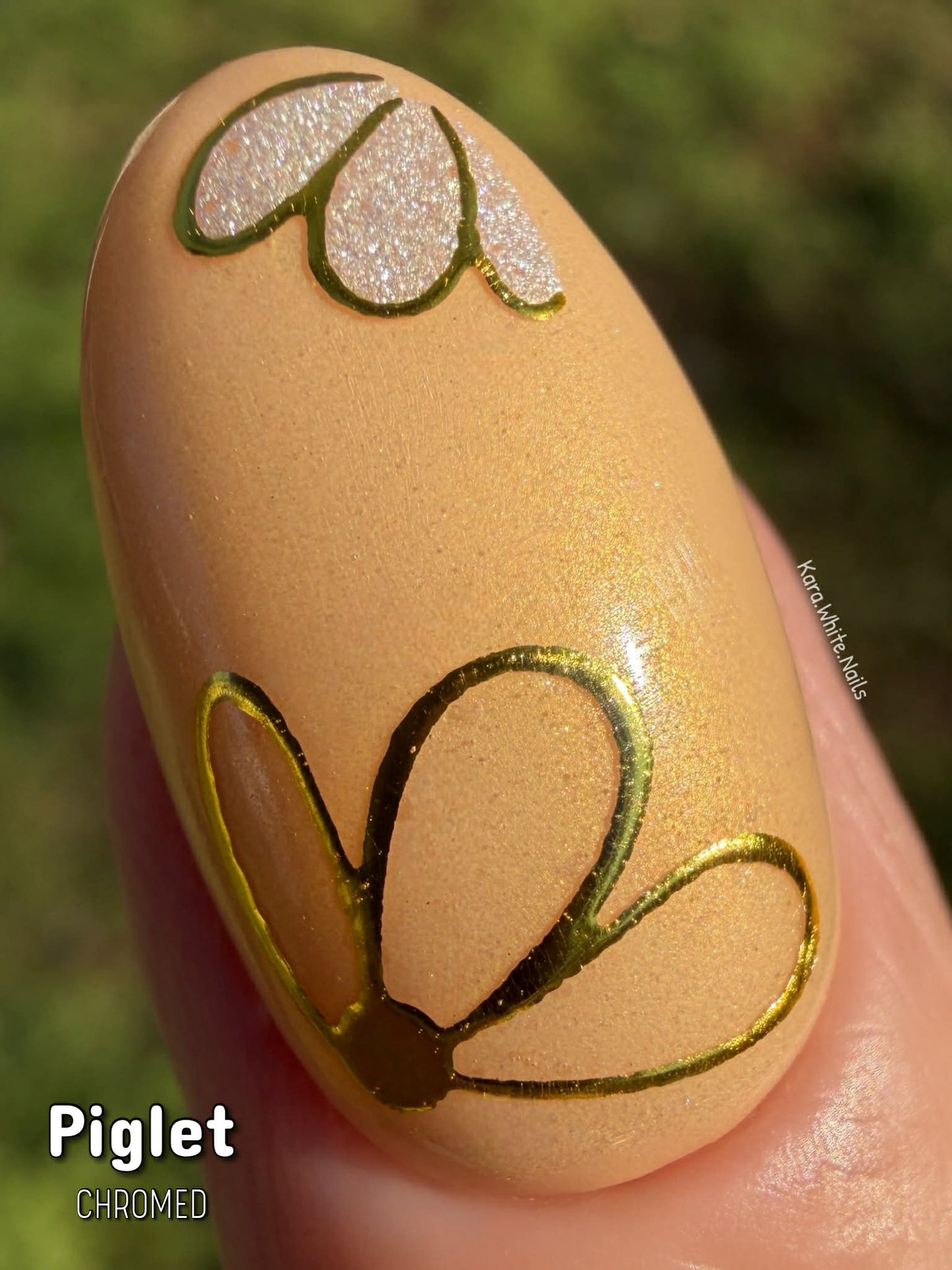 LIFE IN FULL BLOOM COLLECTION