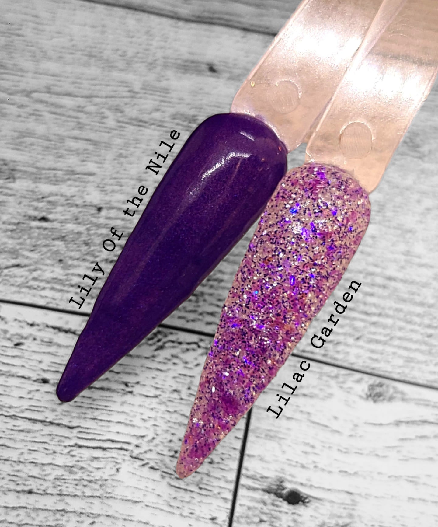 FEBRUARY'S BIRTHDAY DUO