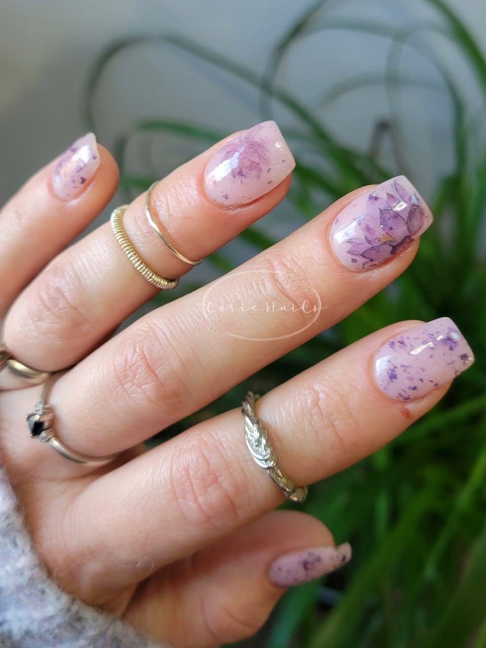 FOREVER NEVER YOURS COLLECTION