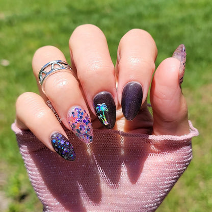 OCEAN SUNSET COLLECTION