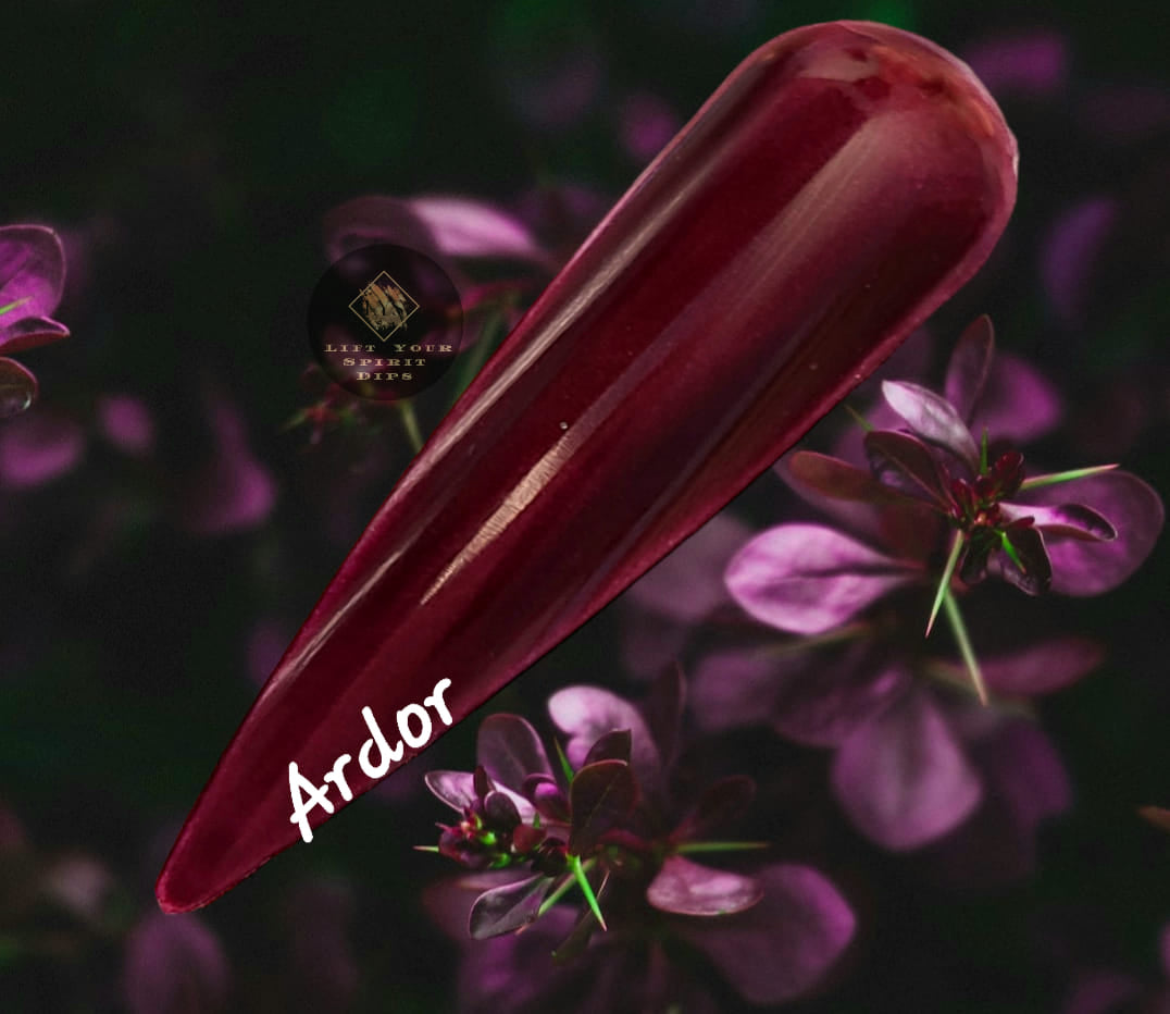 FALL SEDUCTION COLLECTION