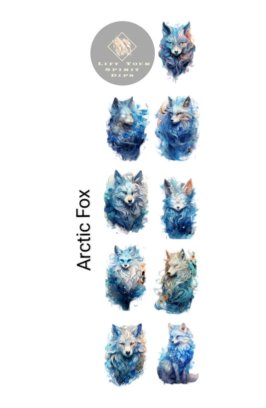 ARCTIC FOX WATERSLIDE DECALS
