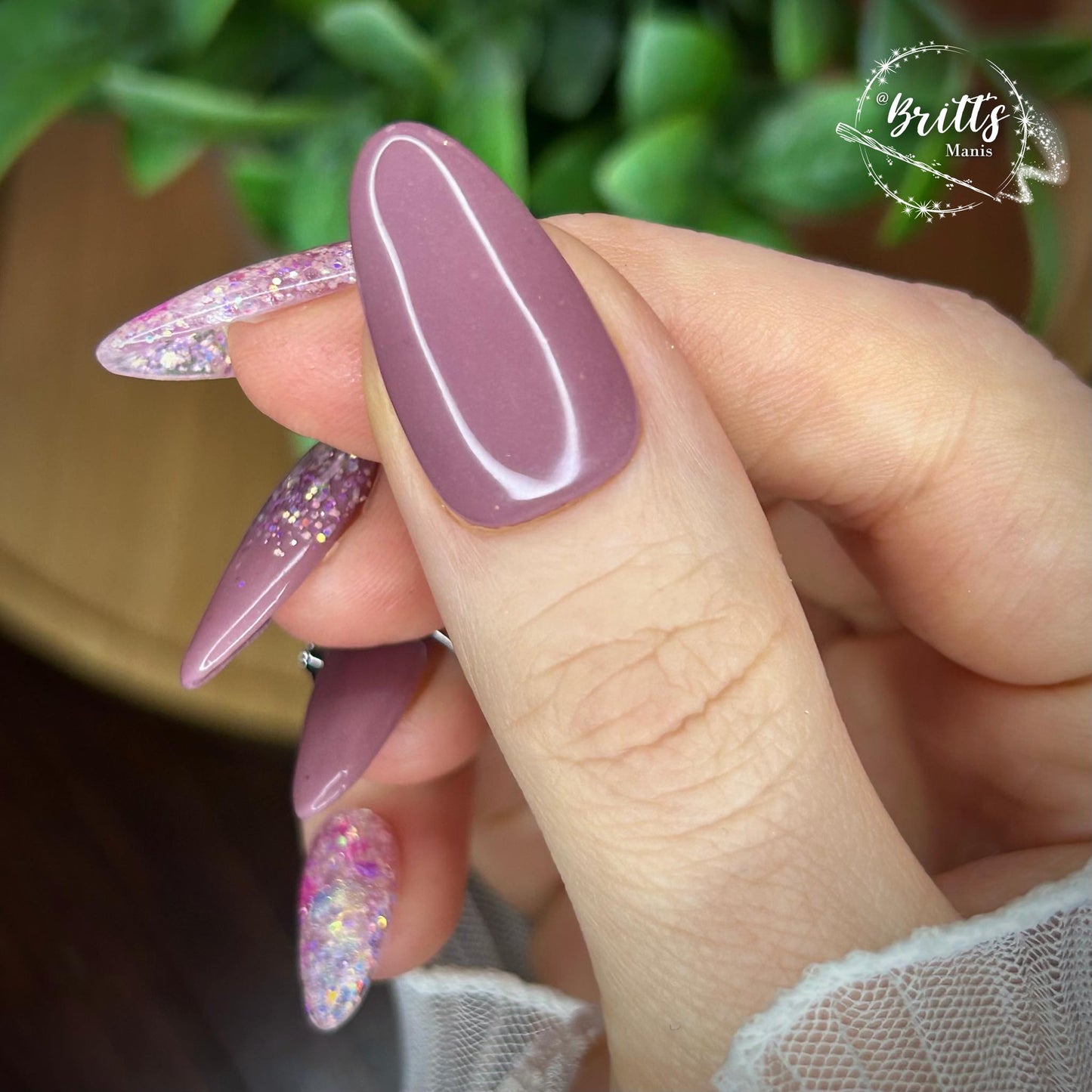 ICE QUEEN COLLECTION