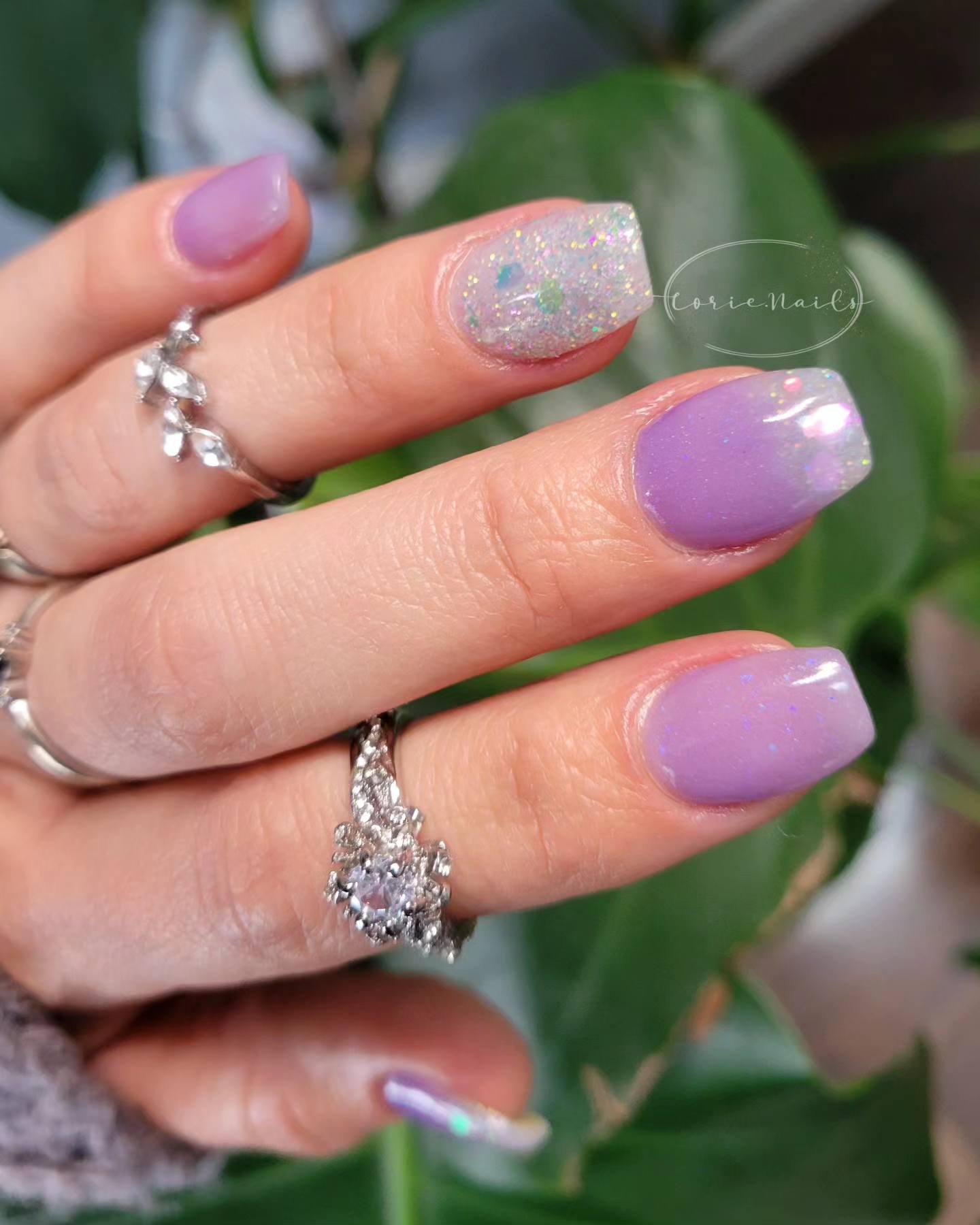 ICE QUEEN COLLECTION