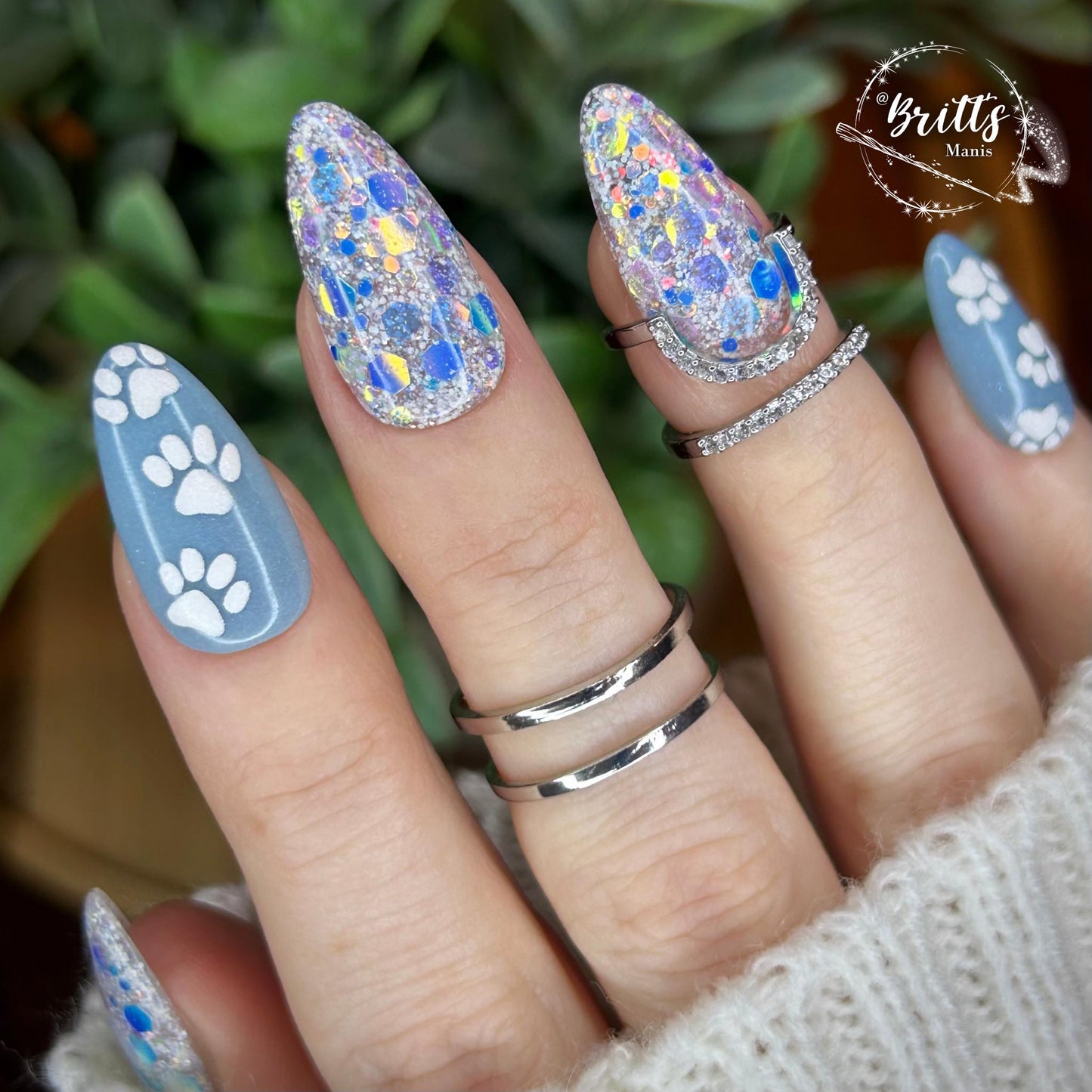 ARCTIC FOX COLLECTION