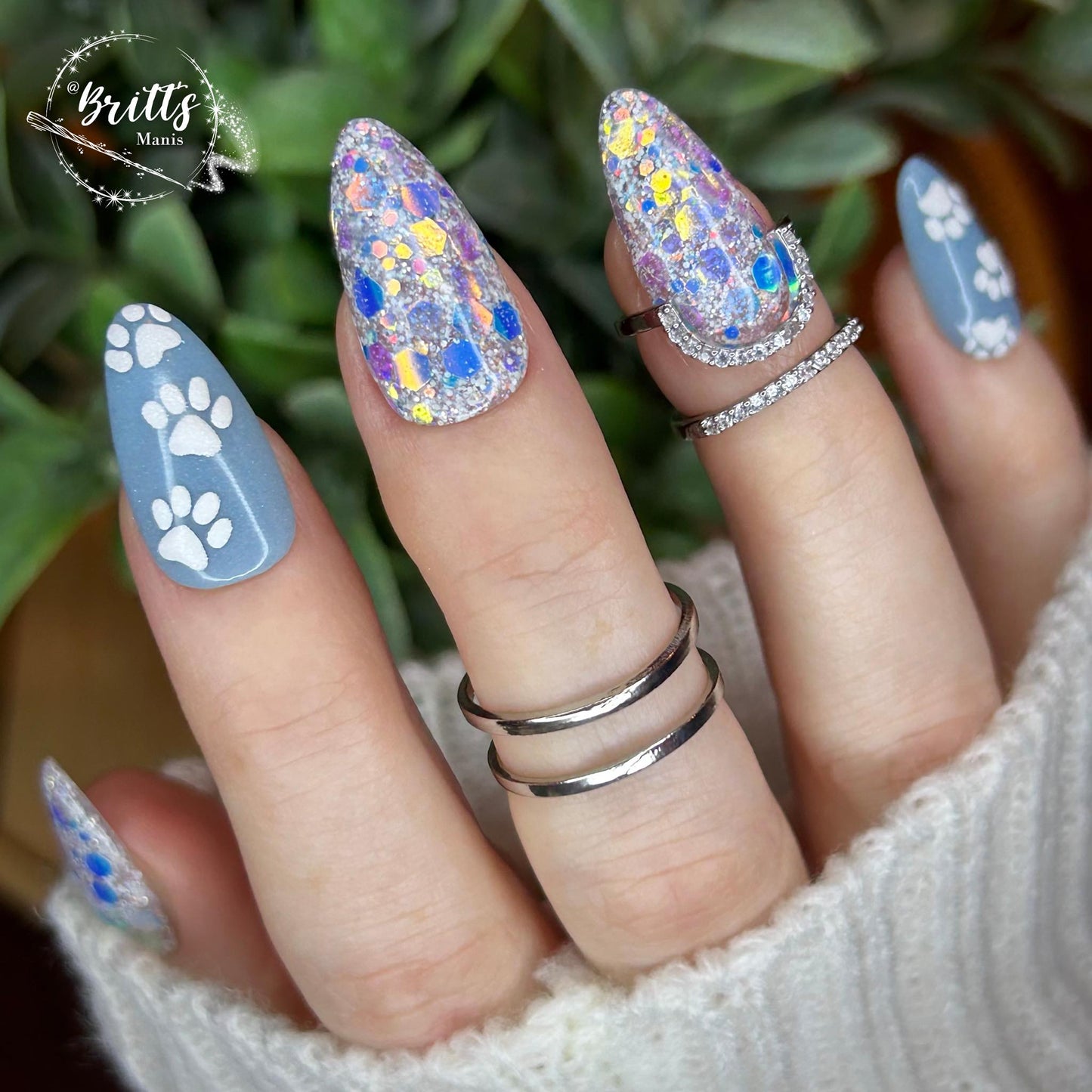 ARCTIC FOX COLLECTION