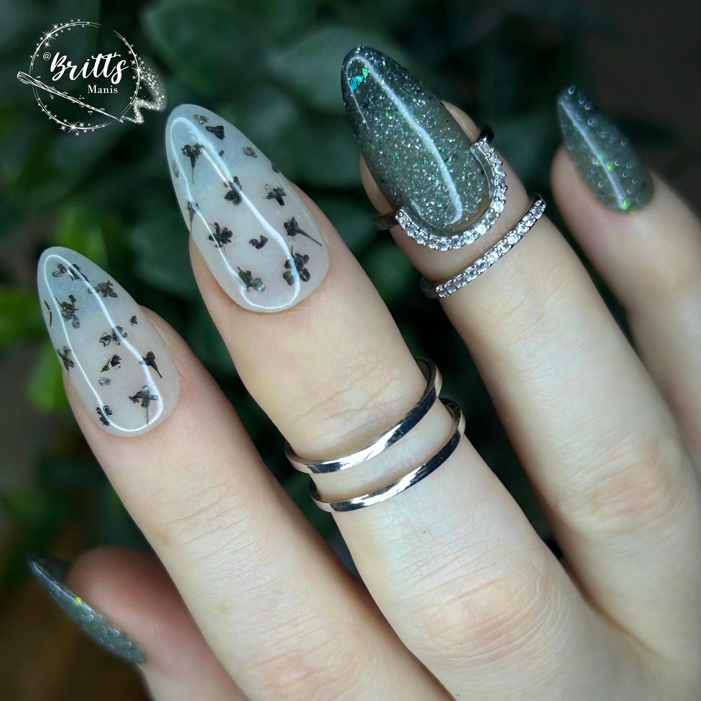 SPRING FROST COLLECTION