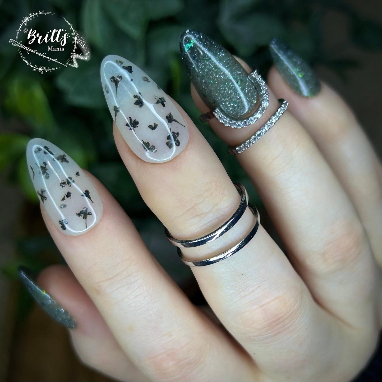 SPRING FROST COLLECTION