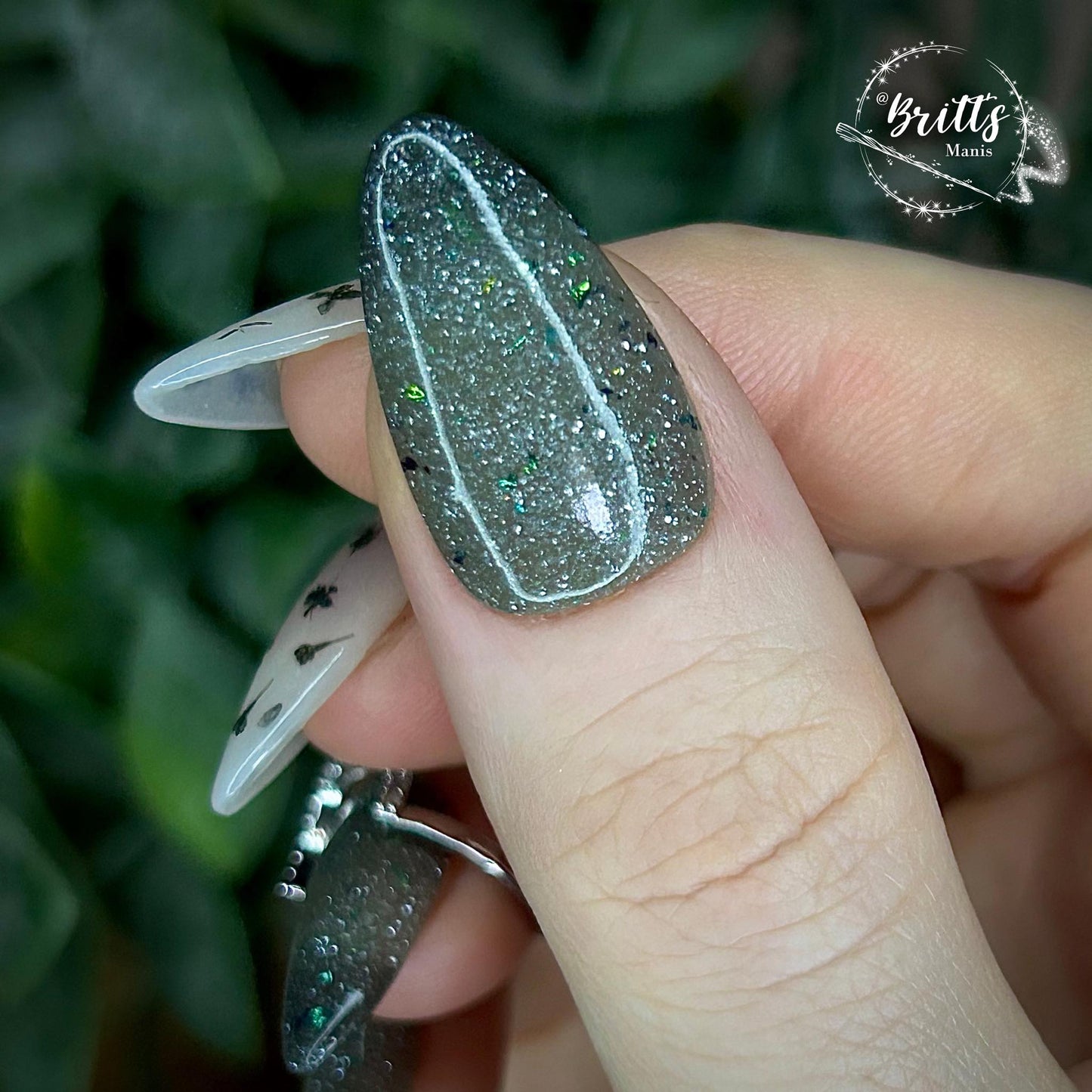 SPRING FROST COLLECTION
