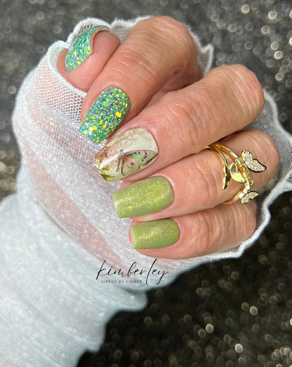SPRING FROST COLLECTION