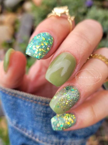 SPRING FROST COLLECTION