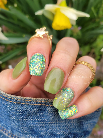 SPRING FROST COLLECTION