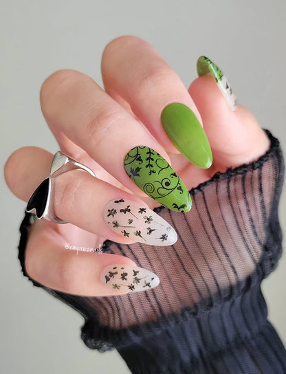 SPRING FROST COLLECTION