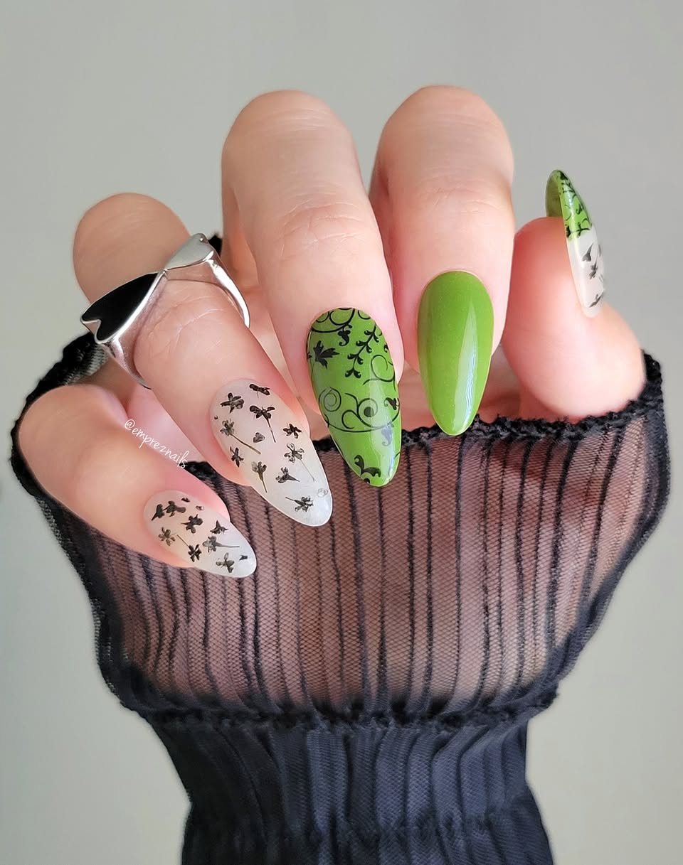 SPRING FROST COLLECTION