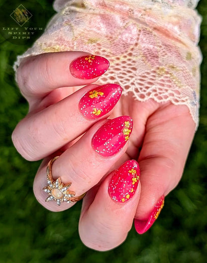 THE PENELOPE COLLECTION (Bridgerton)