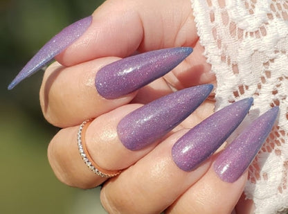 IN THE NAVY COLLECTION