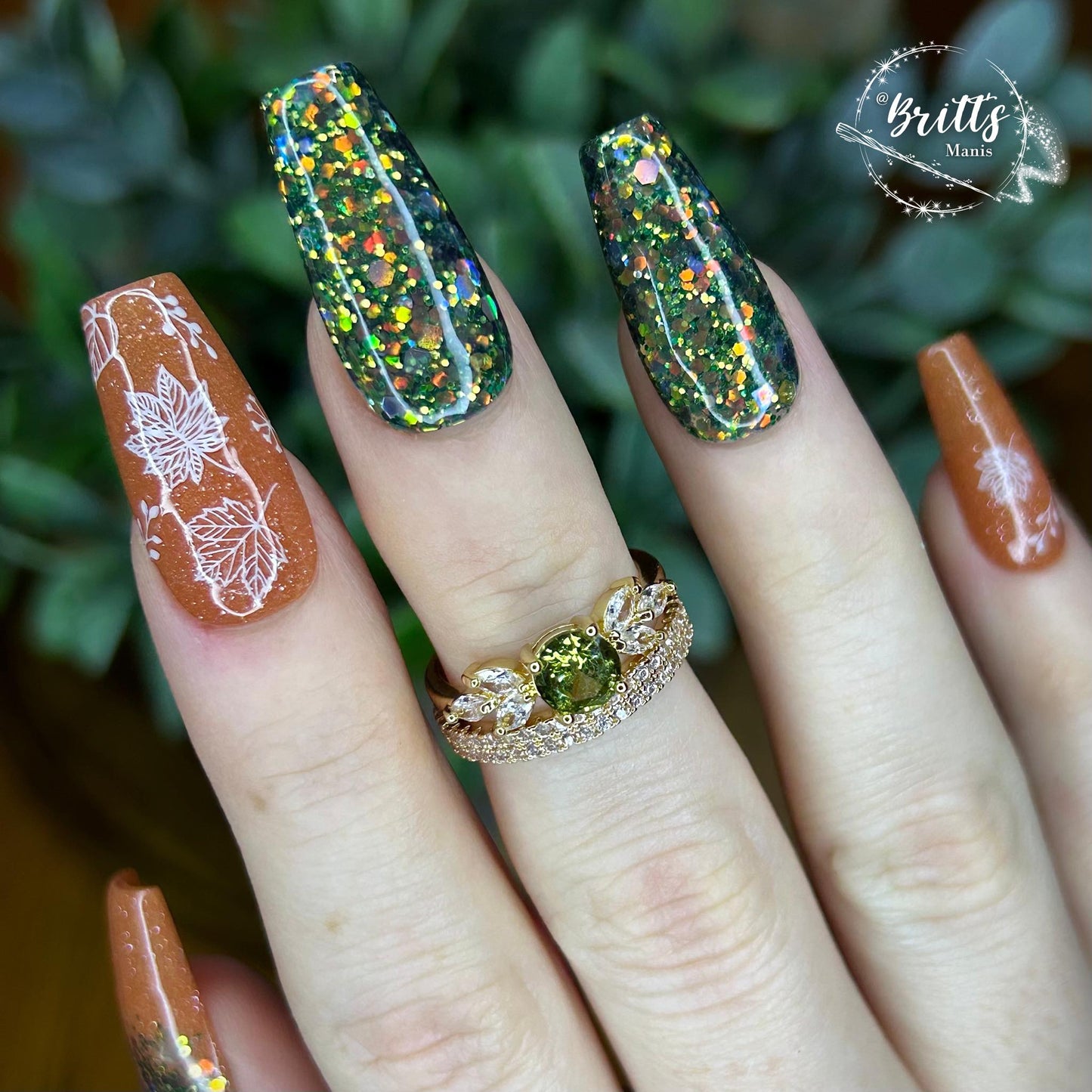 JILTED WESTERN COLLECTION