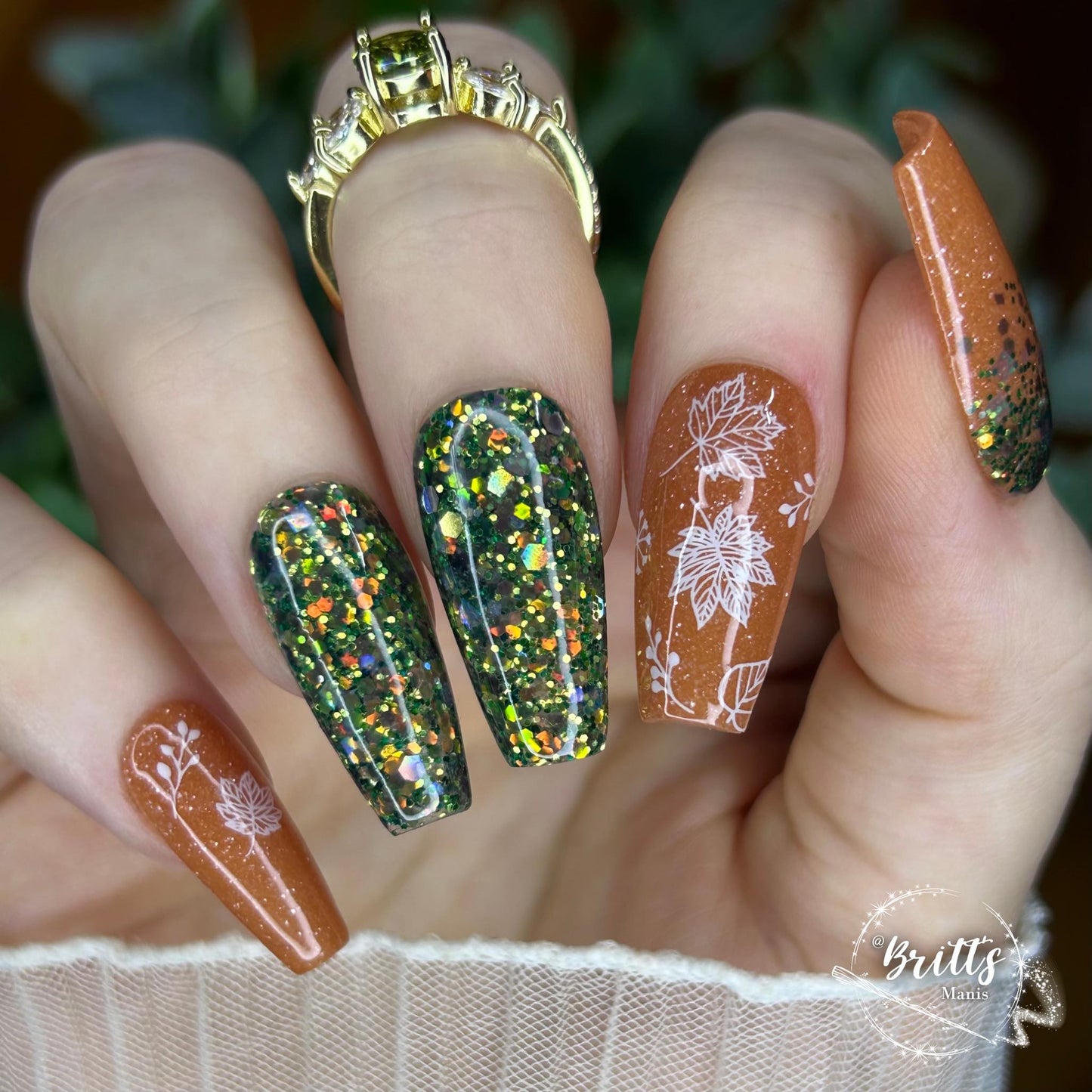 JILTED WESTERN COLLECTION