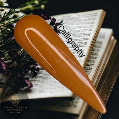 DARK ACADEMIA COLLECTION