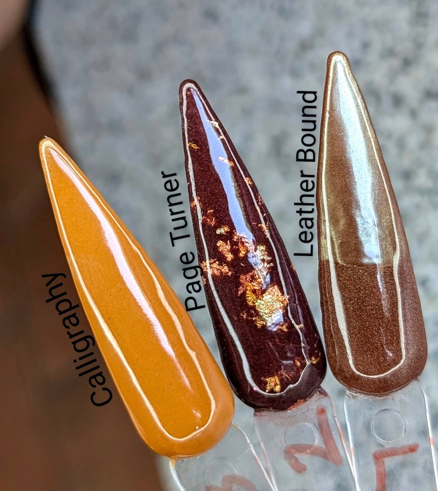 DARK ACADEMIA COLLECTION