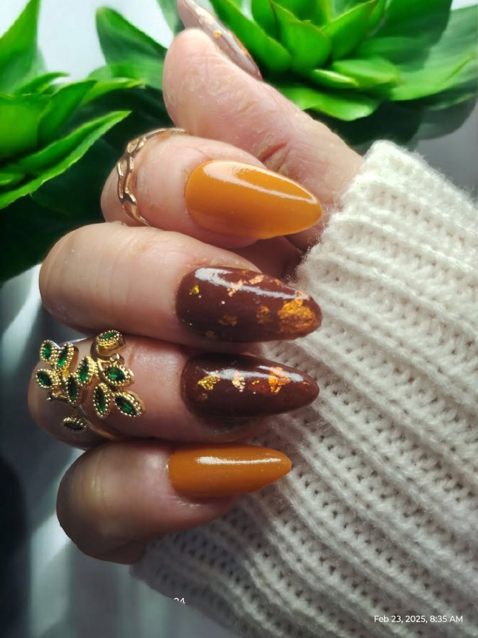 DARK ACADEMIA COLLECTION