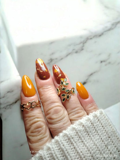 DARK ACADEMIA COLLECTION