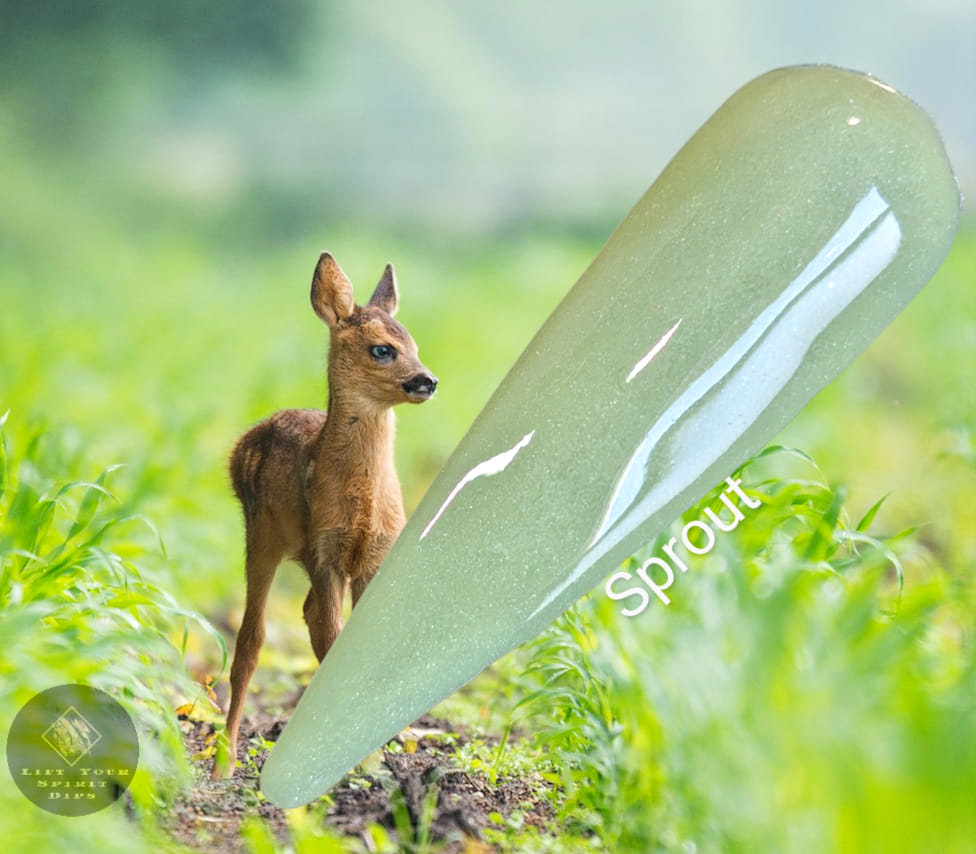 FAWNING OVER YOU COLLECTION