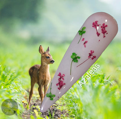 FAWNING OVER YOU COLLECTION