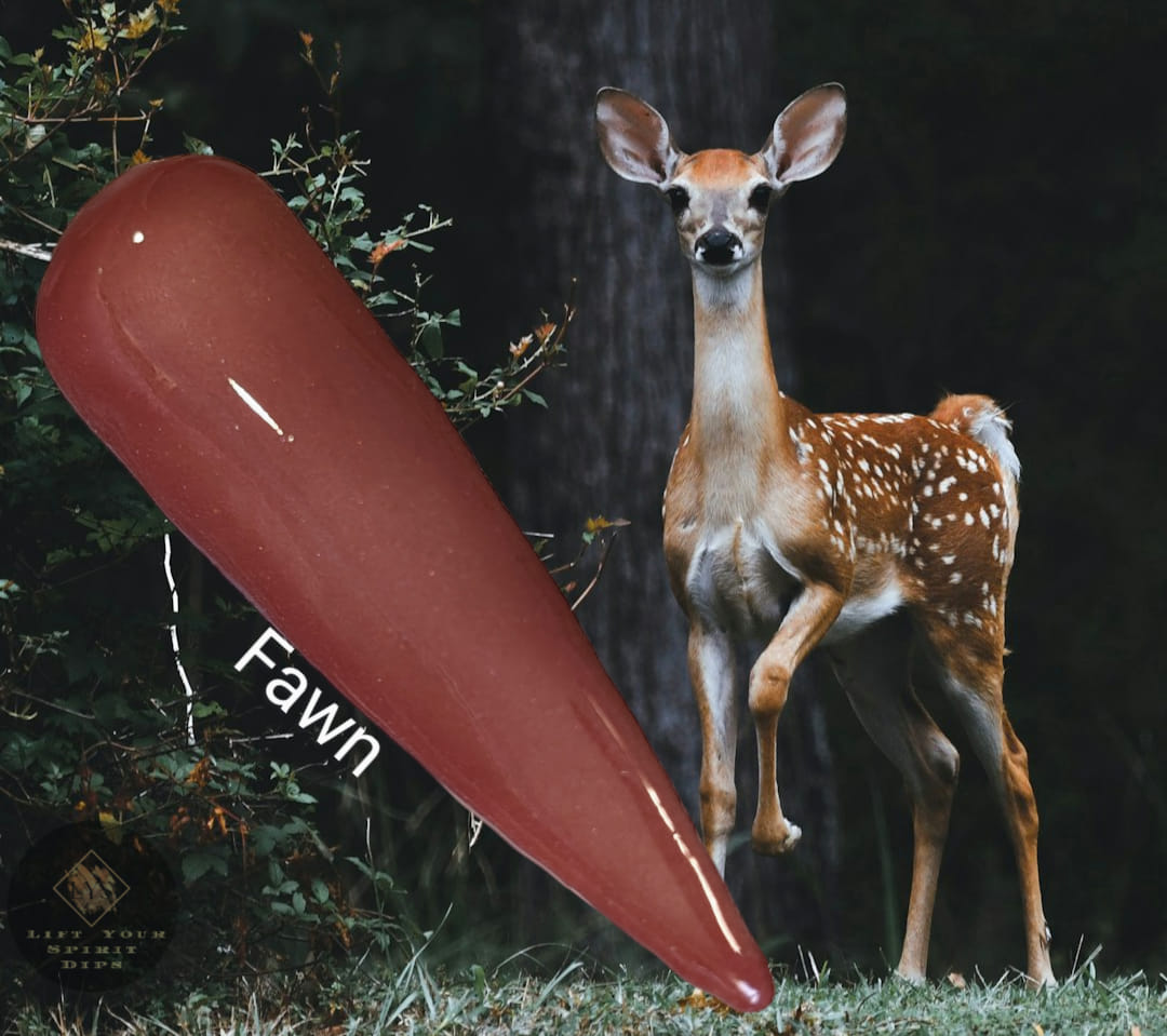 FAWNING OVER YOU COLLECTION