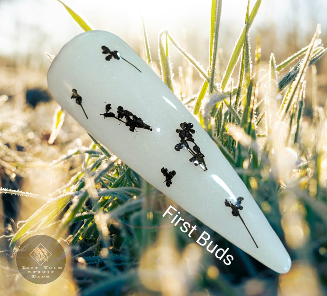 SPRING FROST COLLECTION