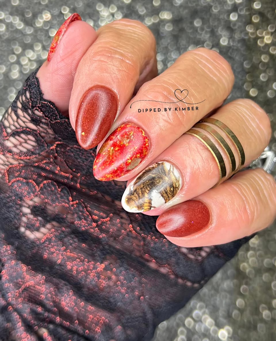 THE ANCIENT SERPENT COLLECTION