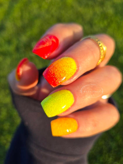 LIKE A PHOENIX COLLECTION