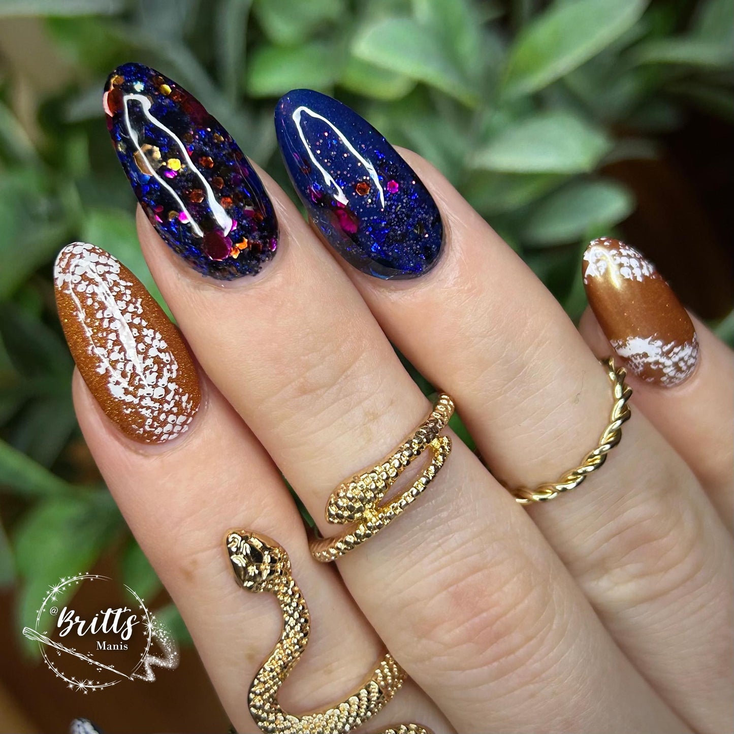 THE ANCIENT SERPENT COLLECTION