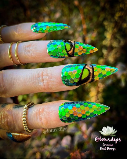 THE ANCIENT SERPENT COLLECTION