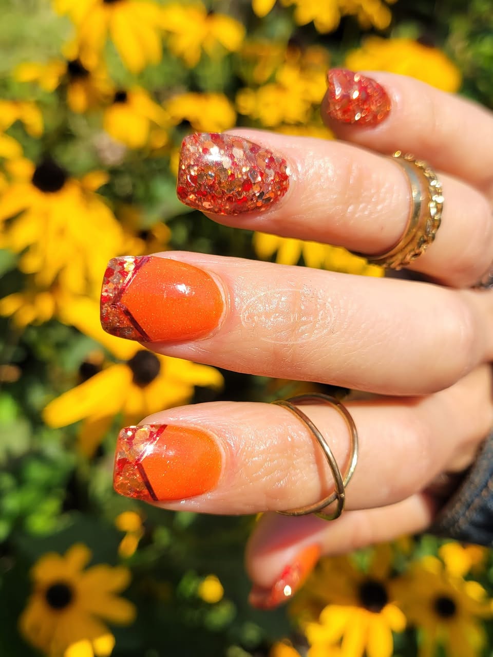 BONFIRE NIGHTS COLLECTION