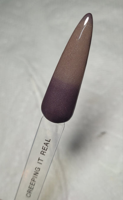 2024 HAUNTED HALLOWEEN COUNTDOWN DIPS