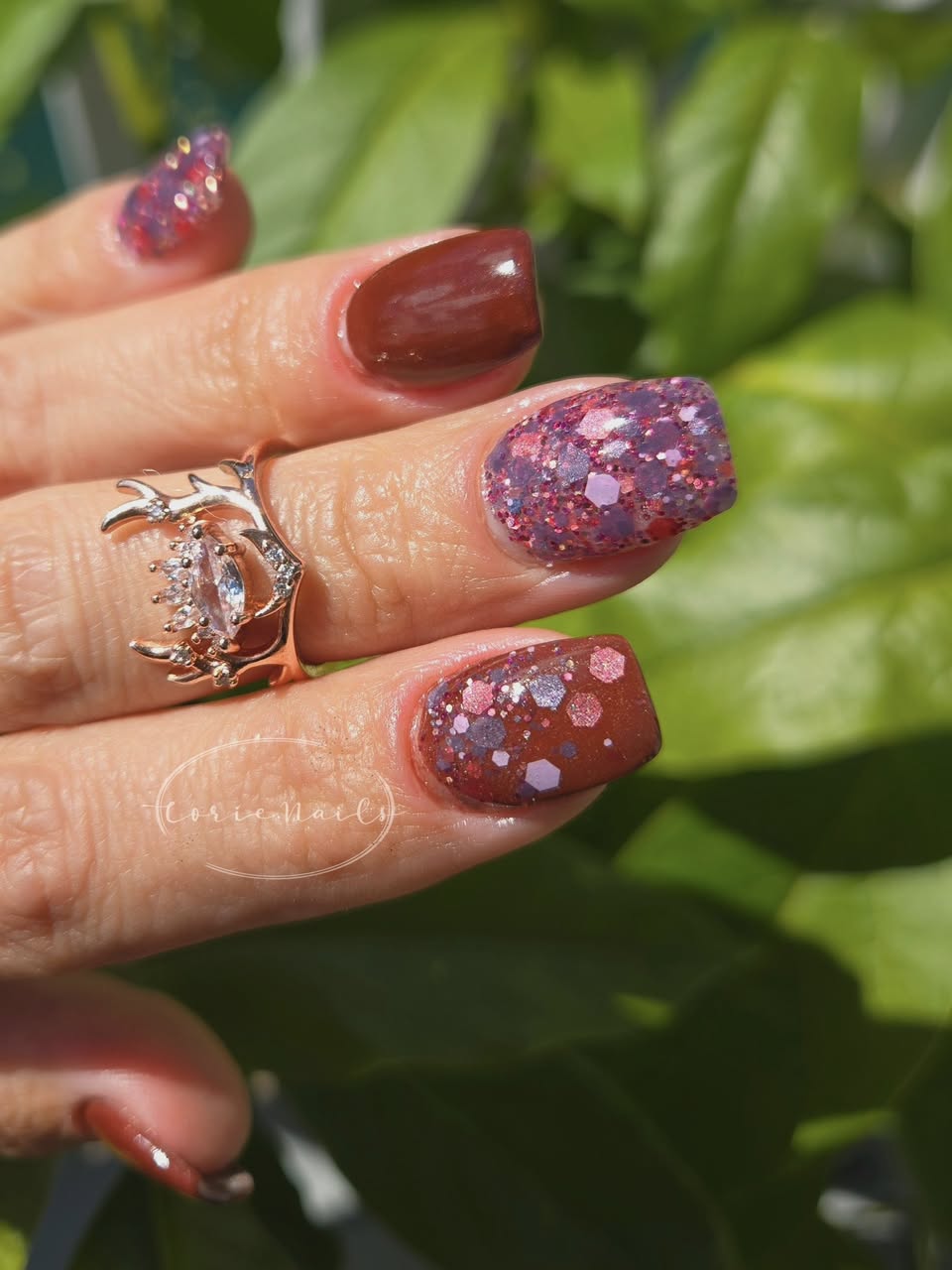 BERRIES OF AUTUMN COLLECTION