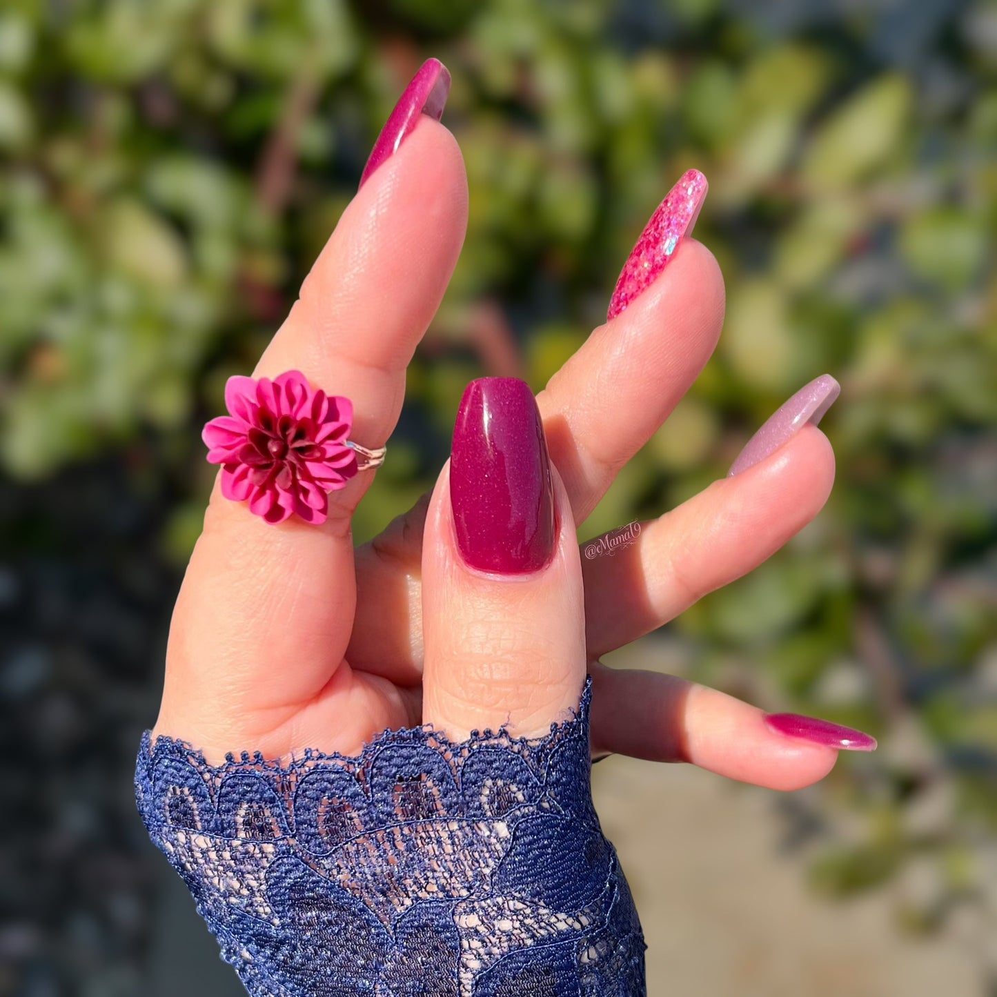 BERRIES OF AUTUMN COLLECTION