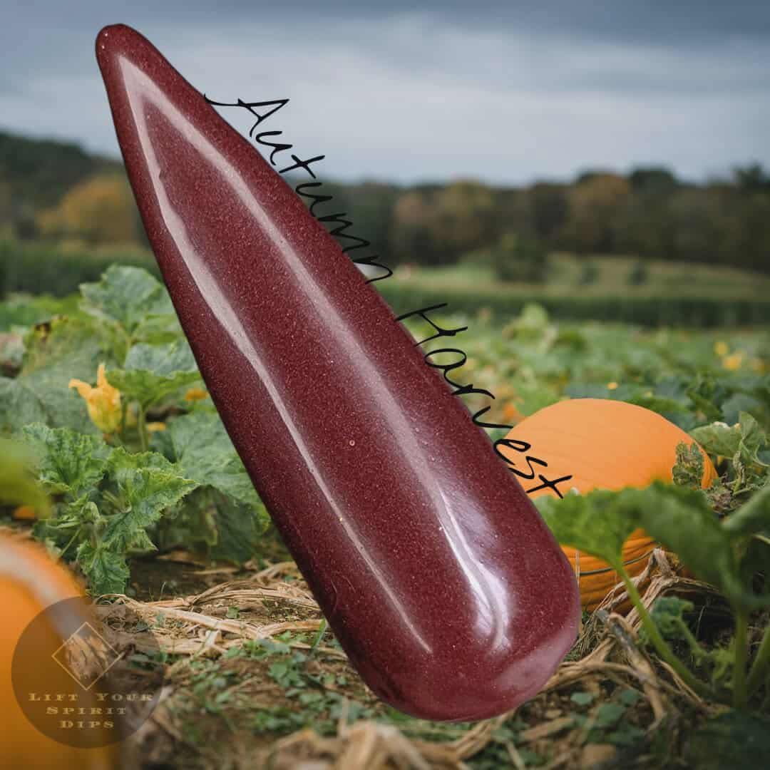 LIFE IS GOURD COLLECTION