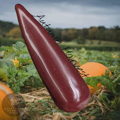 LIFE IS GOURD COLLECTION