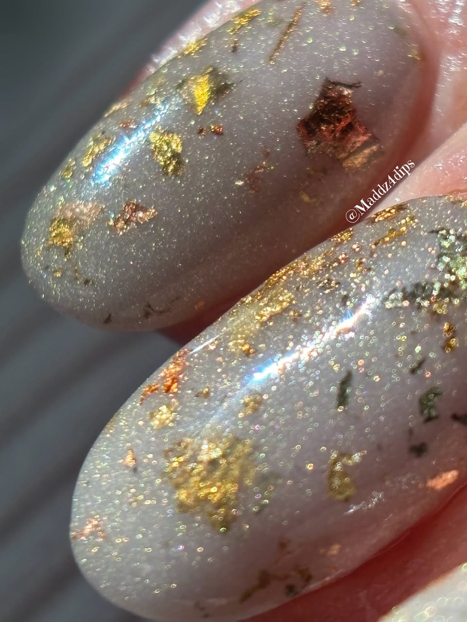 AUTUMN TO WINTER COLLECTION